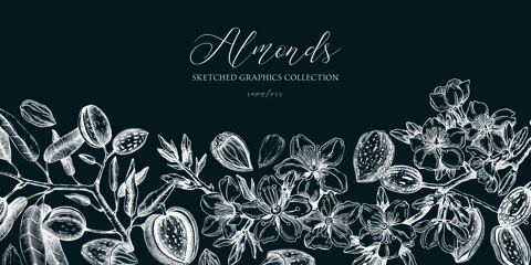 Almond background. Blooming branches, almond nuts, flowers, leaves sketches. Hand drawn vector illustration. Vintage floral design. Spring trees border on chalkboard